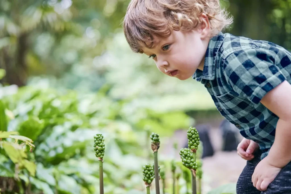 Clínica del Crecimiento | consejos para una alimentación saludable,crecimiento,comida saludable,alimentación saludable crecimento de niños con alimentacion saludable